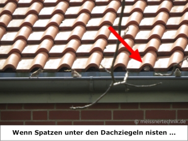 MEISSNER - 50x Spatzenbürsten - ca. 16 cm lang - Ø 9 cm - flexible und UV-beständige Borsten passen sich dem Hohlraum an